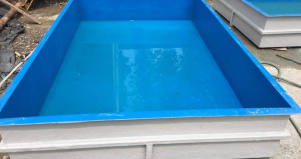 Hồ Cá Composite TPHCM